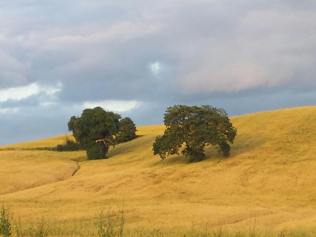 Agriturismo San Pierino 蒙特罗尼德阿尔比亚 外观 照片
