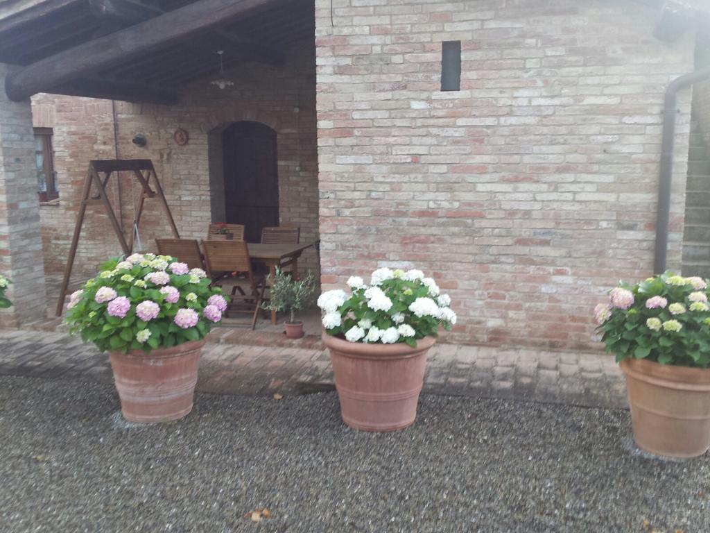 Agriturismo San Pierino 蒙特罗尼德阿尔比亚 外观 照片
