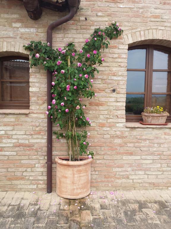 Agriturismo San Pierino 蒙特罗尼德阿尔比亚 外观 照片