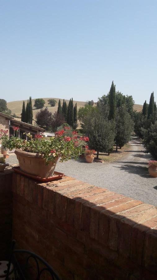 Agriturismo San Pierino 蒙特罗尼德阿尔比亚 外观 照片